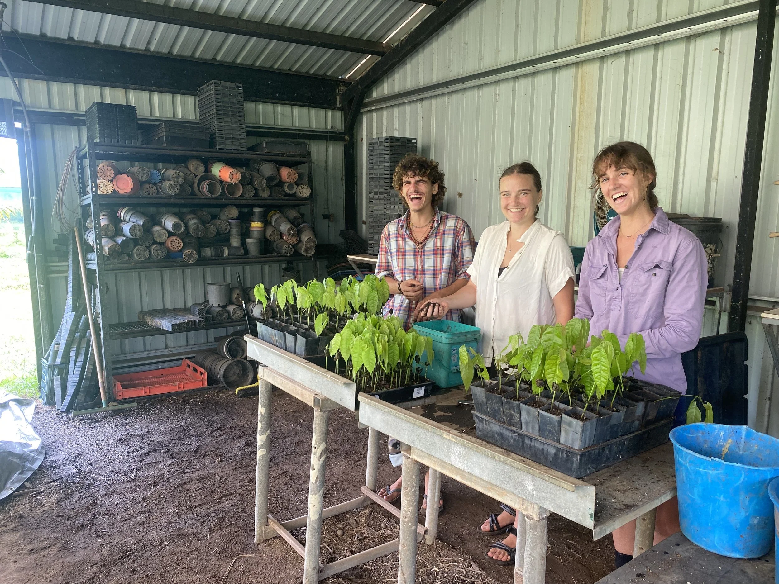 The Heart of Regeneration: Building Community