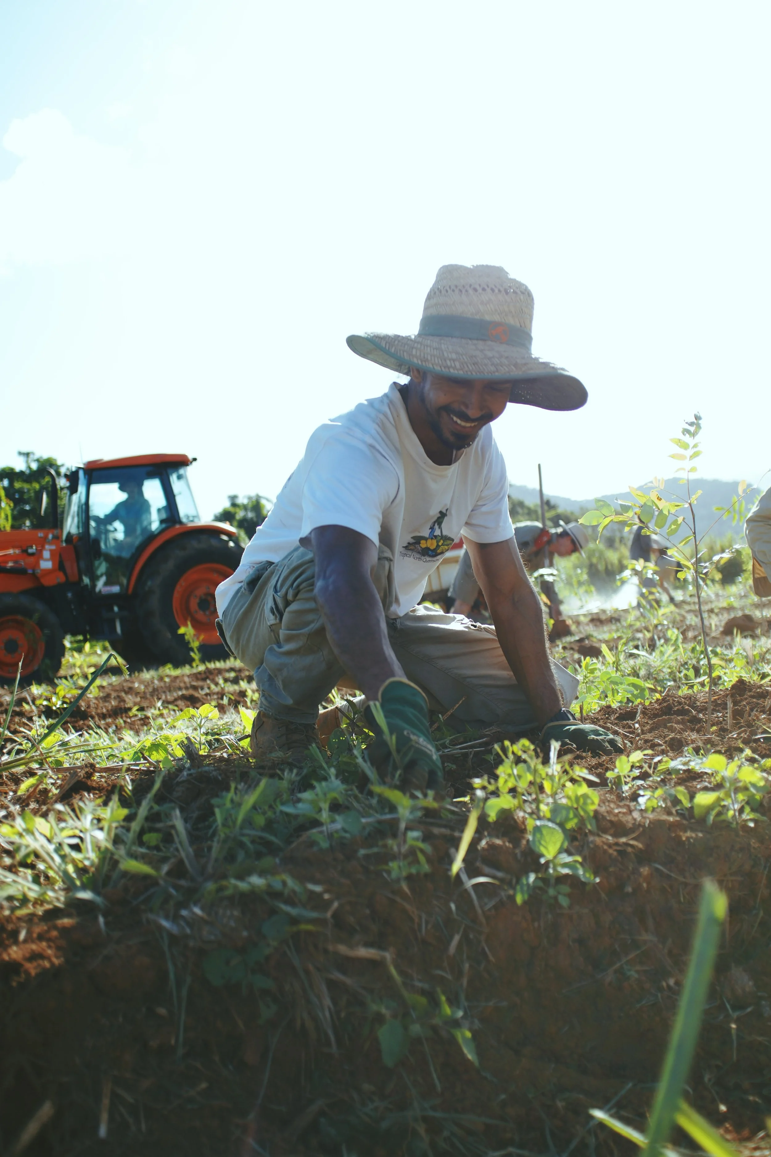 Copy of Planting day.jpeg