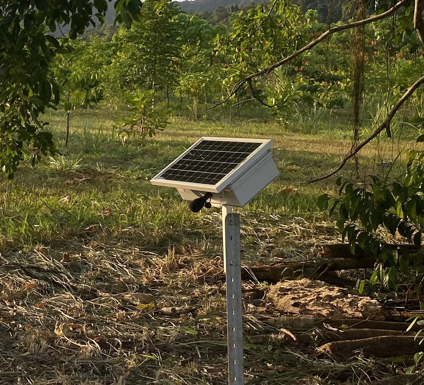 Bio-Acoustics- Close Up.jpg