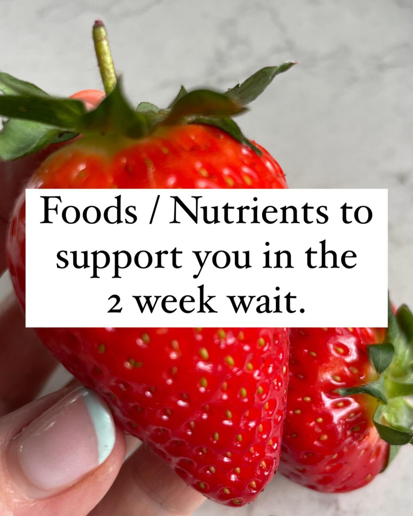 A nutrient-rich diet that&rsquo;s rich in fruits, veggies, and whole grains sets the stage for successful implantation. These foods are packed with antioxidants that create nourishment for egg / sperm health aswell as an ideal uterine environment for