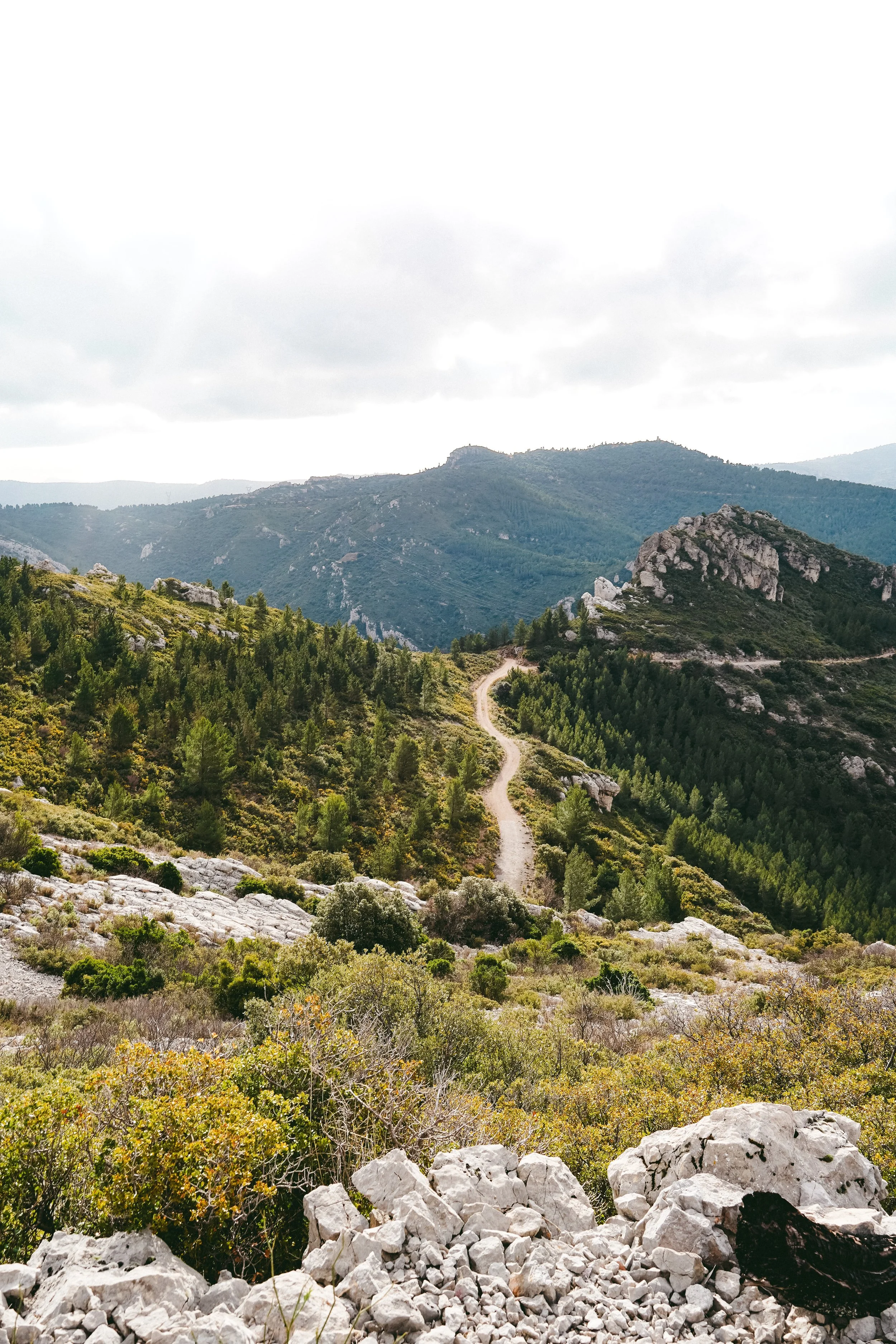 JOUR DE RANDO #2 - Sainte Baume - De la falaise de la Galère à la Grande Baume.