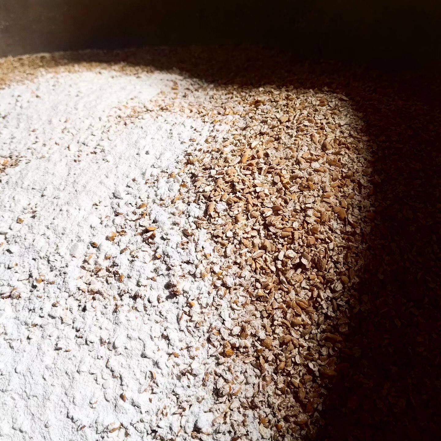 We're prepared to tackle this grain mountain today! 💪⛰️🌾 If things go well, expect to try our first beer in the coming weeks... watch this space! 🌟🍺

.
.
.

#FirstBrew #PaleAle #CraftBeer #BrewingMagic #TasteTheAdventure #ThirstQuencher #BeerLove