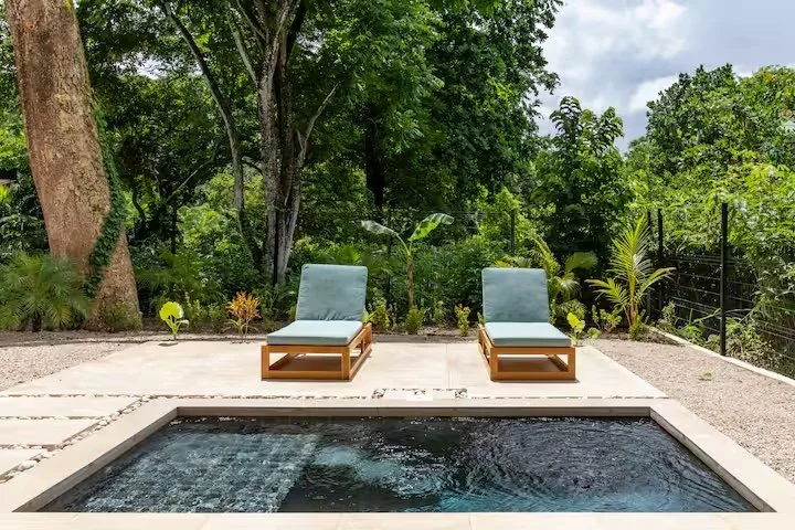 Two lounge chairs on a deck overlooking a backyard with trees and greenery, with a small pool in front.