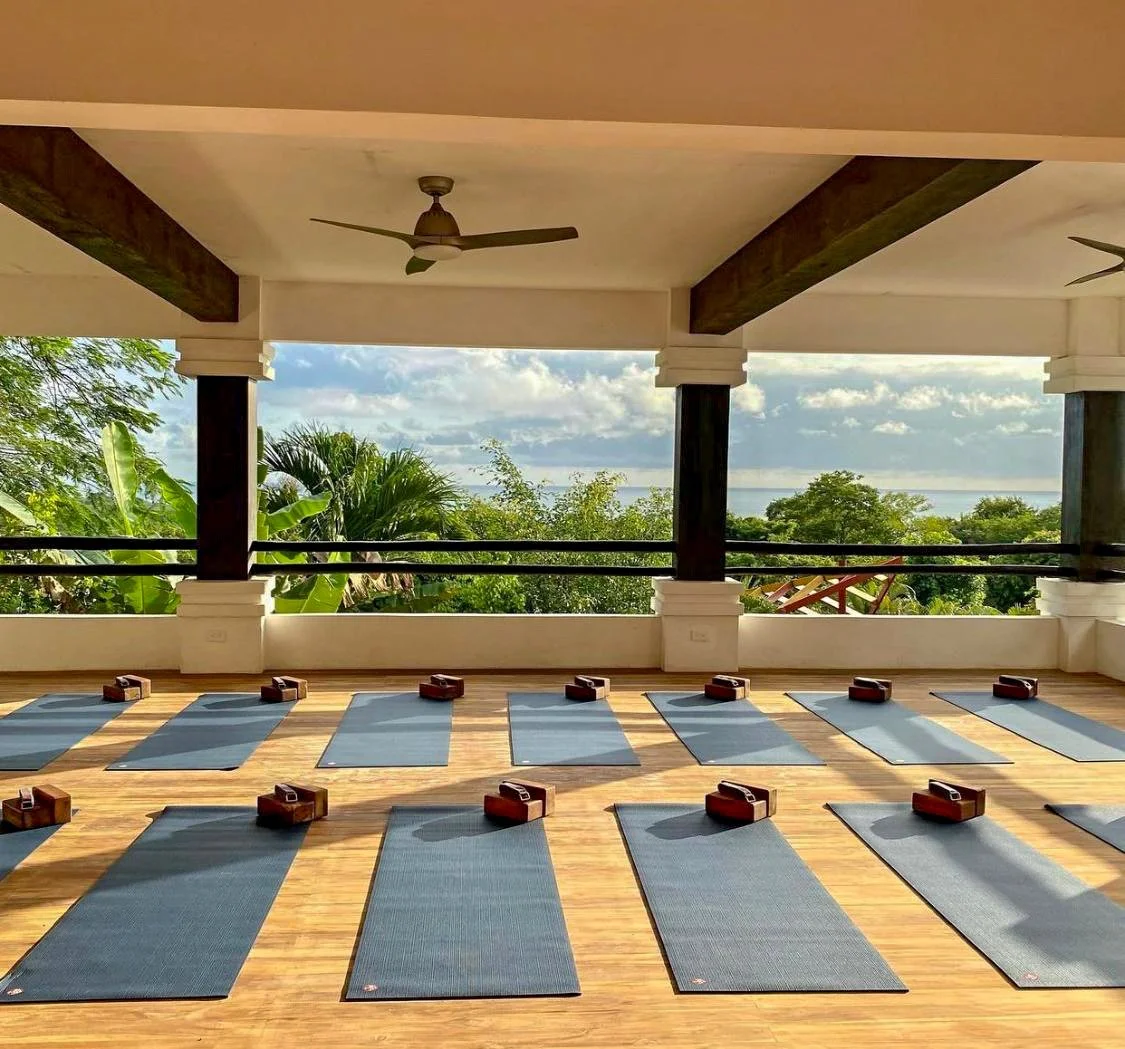 Open-air yoga studio with neatly arranged blue mats on a wooden floor, each with yoga blocks, overlooking lush greenery and a distant view of the sea.