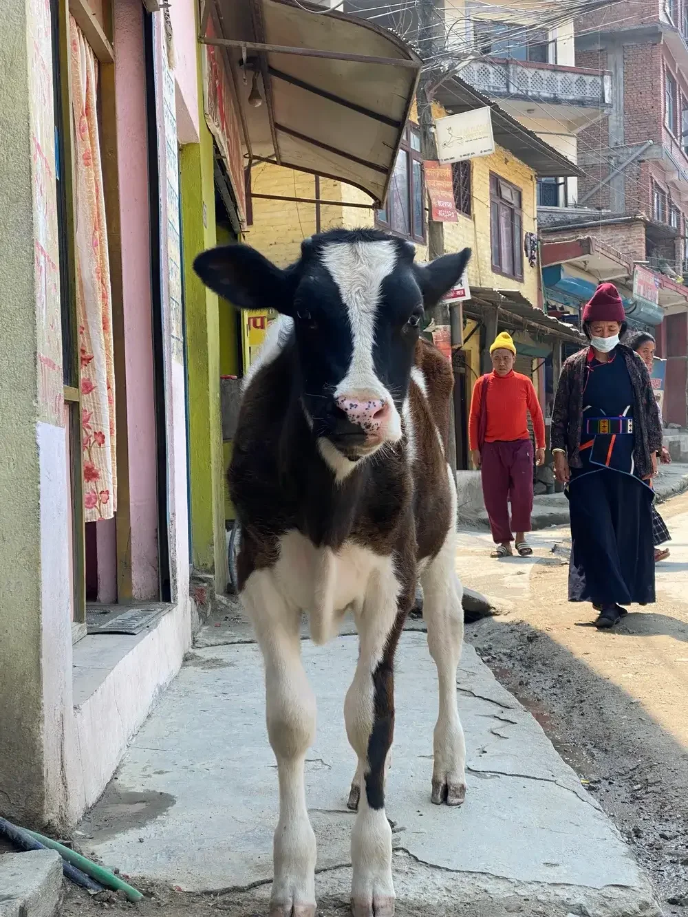 Tihar in Nepal: Bedeutung, fünf Festtage und die besondere Rolle von Bhai Tika