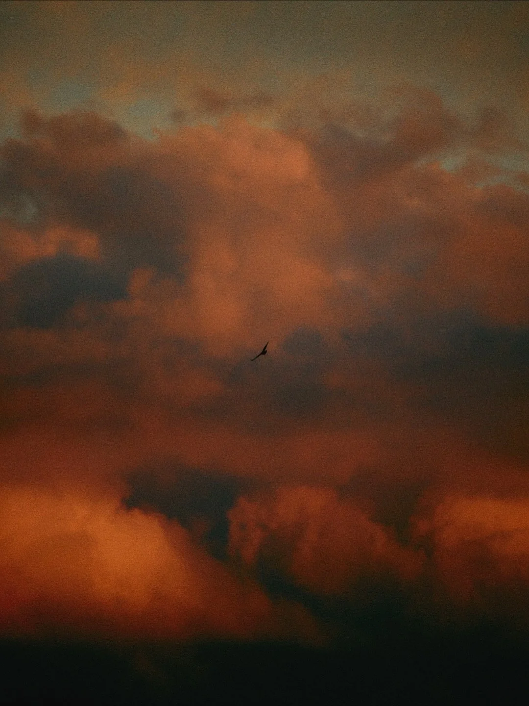 A storm cometh.
Deer activity often increases as barometric pressure drops ahead of a storm - a survival response to feed before weather sets in.
#Rushbrooke