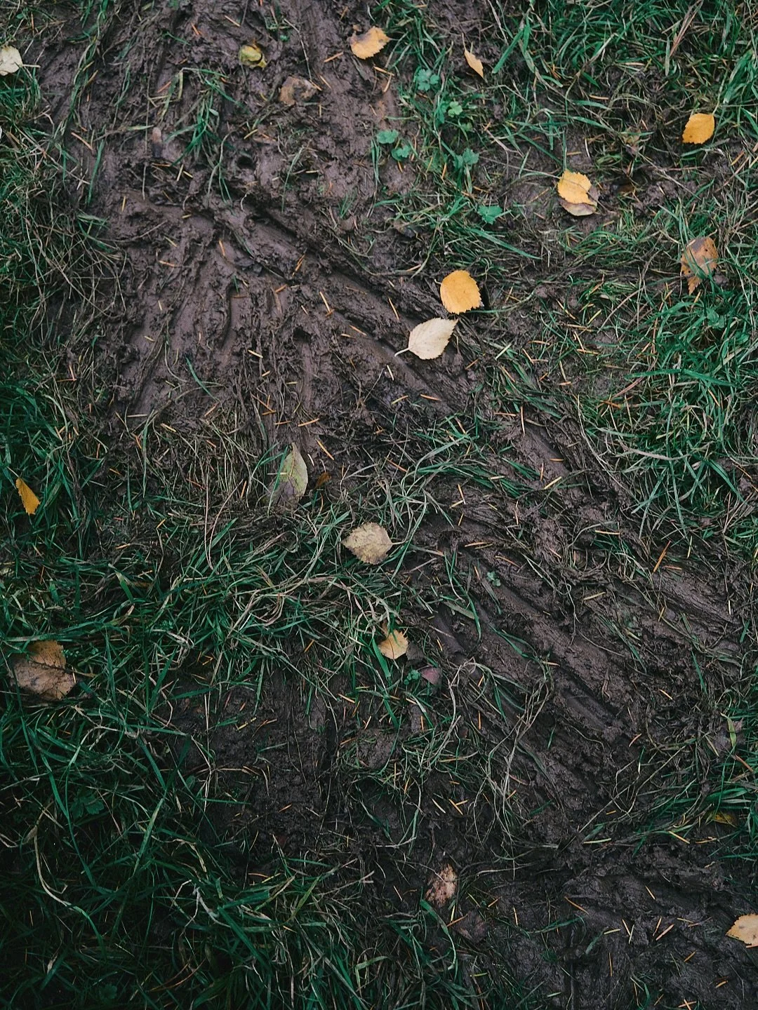 Directions to the best highseat. 
#Rushbrooke