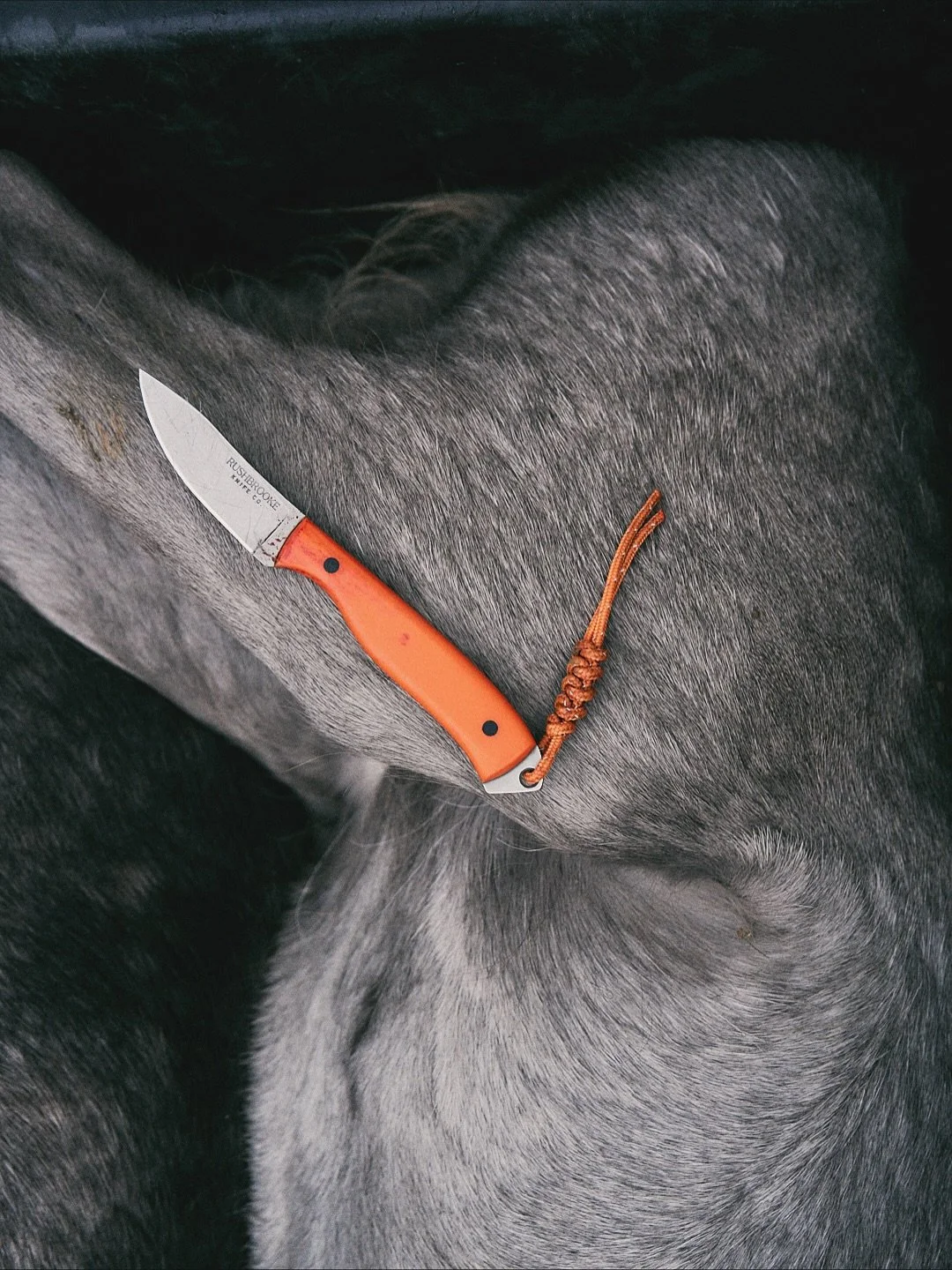 Number crunching. 

November see&rsquo;s the beginning of &lsquo;doe season&rsquo;, when the honest work of population management begins, and the glory of chasing those early season bucks takes a back seat. 

#Rushbrooke