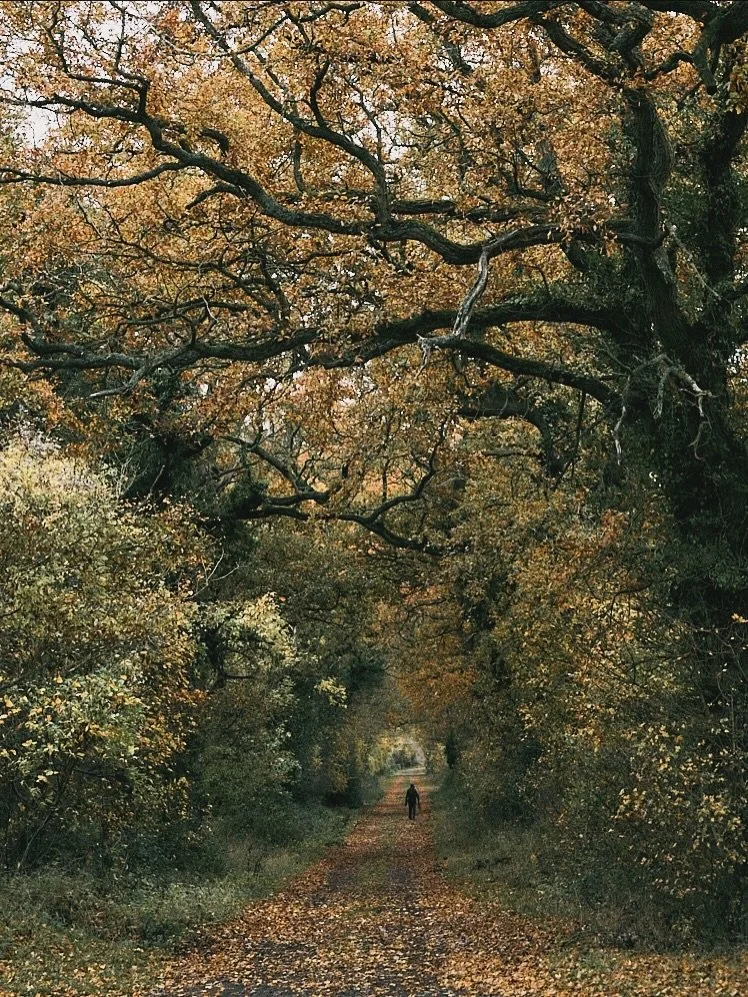 Suffolk in it&rsquo;s prime. 

#Rushbrooke