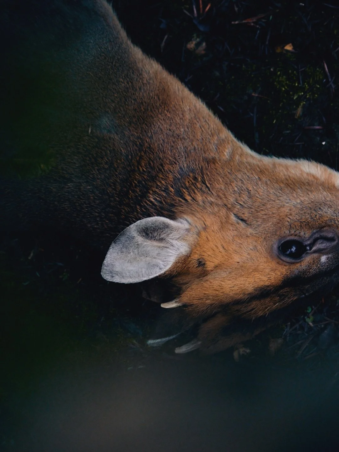 Putting the stew in stewardship.

#rushbrooke