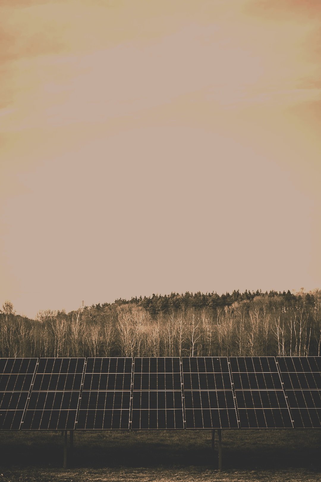 #011// England’s ‘green’ and pleasant land.