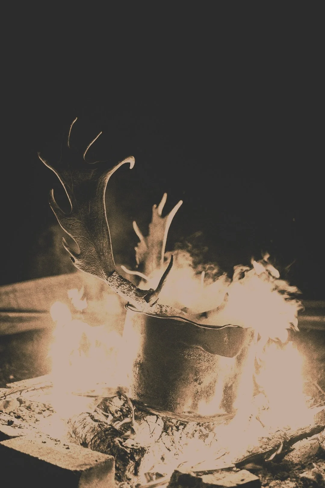 #009// Lying Fallow.