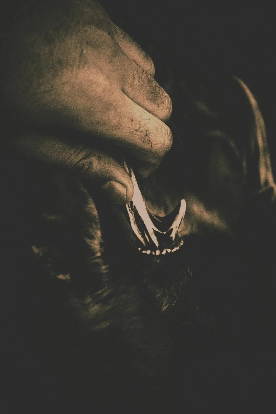 #008// Well Seasoned.