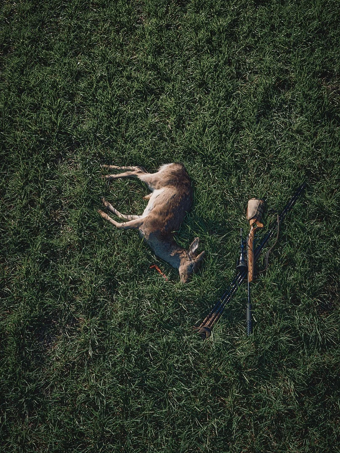 March is always the turning point, where the long winter begins to loosen its grip.

The light stretches a little further each evening, and our minds turn to the promise of warmer days and long summer evenings ahead - and a fallow in the freezer mean