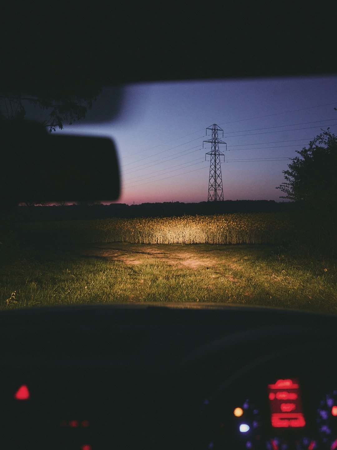 Late April.

Cool evening air, heavy with the scent of blooming rapeseed - punctuated by the distant call of a cuckoo, and the sporadic boom of a bird scarer.

The muntjac take no notice of either. 

#Rushbrooke