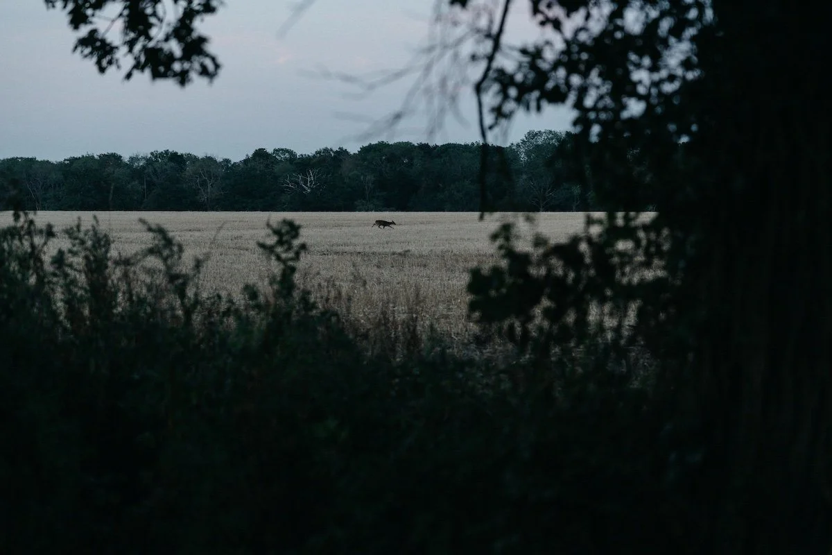 rushbrooke-talking-fieldnotes8.jpg