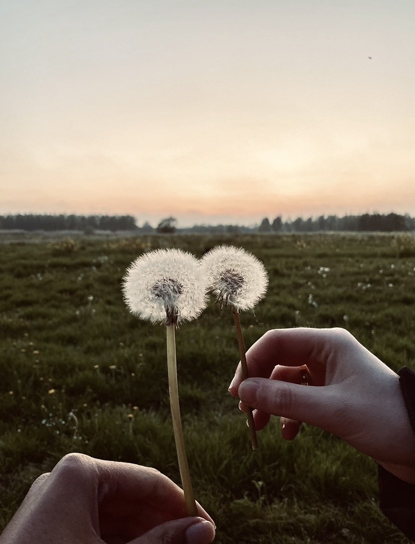 Eenzaamheid en sociaal isolement