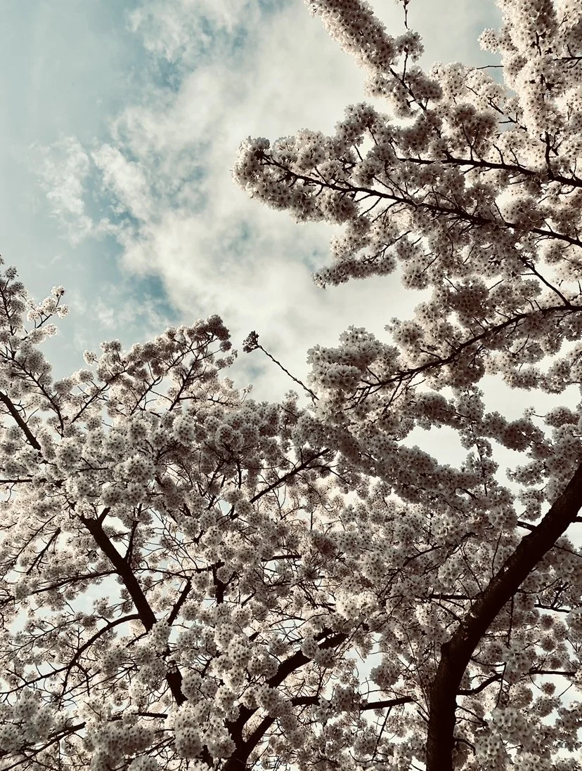 5 tips wat jij kunt doen tegen jouw eenzaamheid.