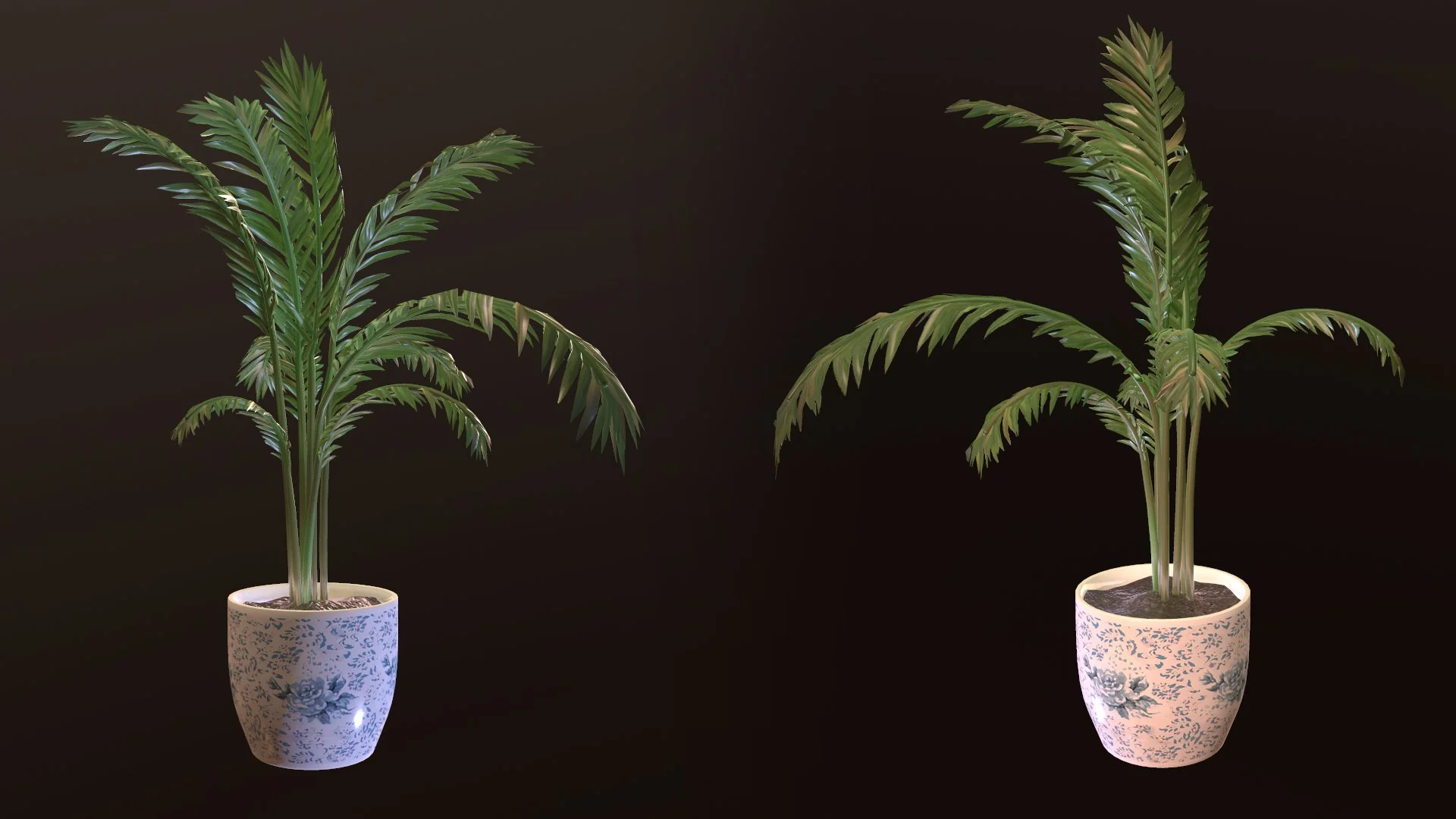 Two potted plants with large green fern-like leaves in decorative white pots with blue floral designs, set against a black background.