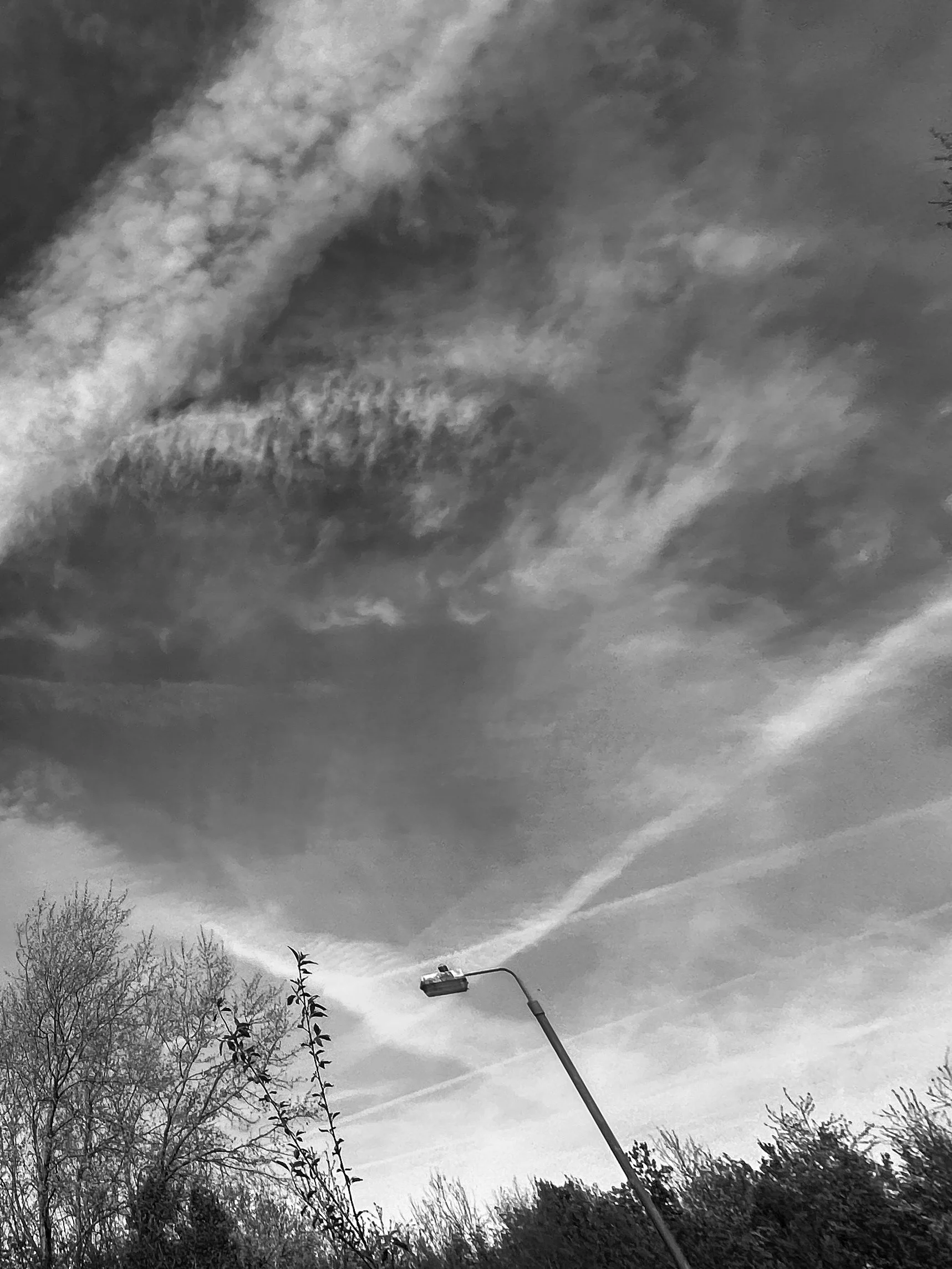 f53885ba-d9b9-4c4d-ac2f-ddee5773b9ee_rw_1920.jpg