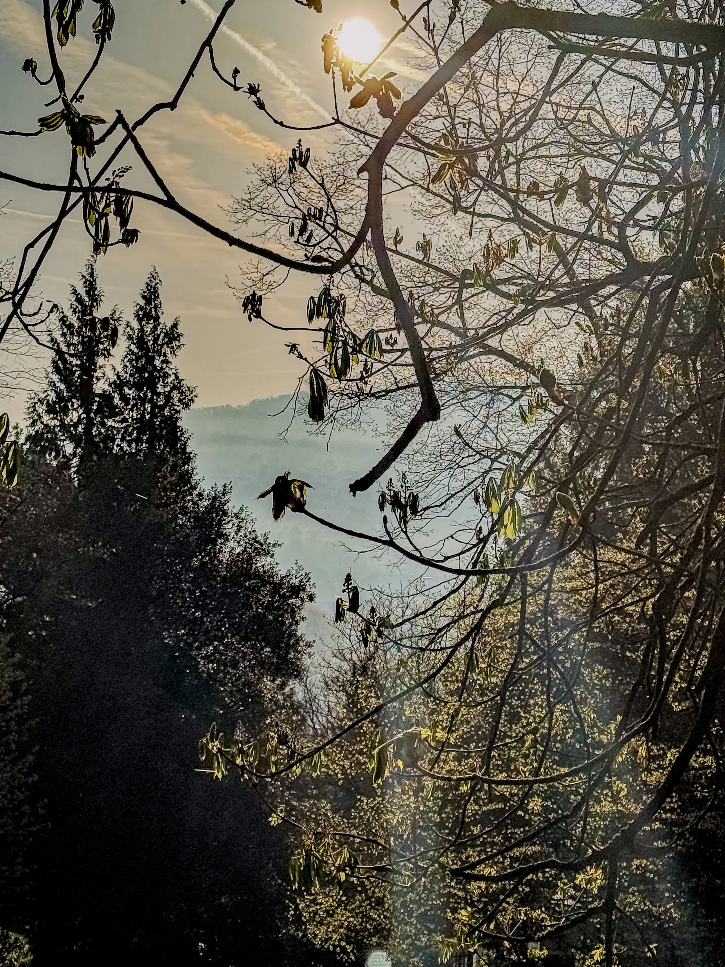 IMG_1043.jpeg