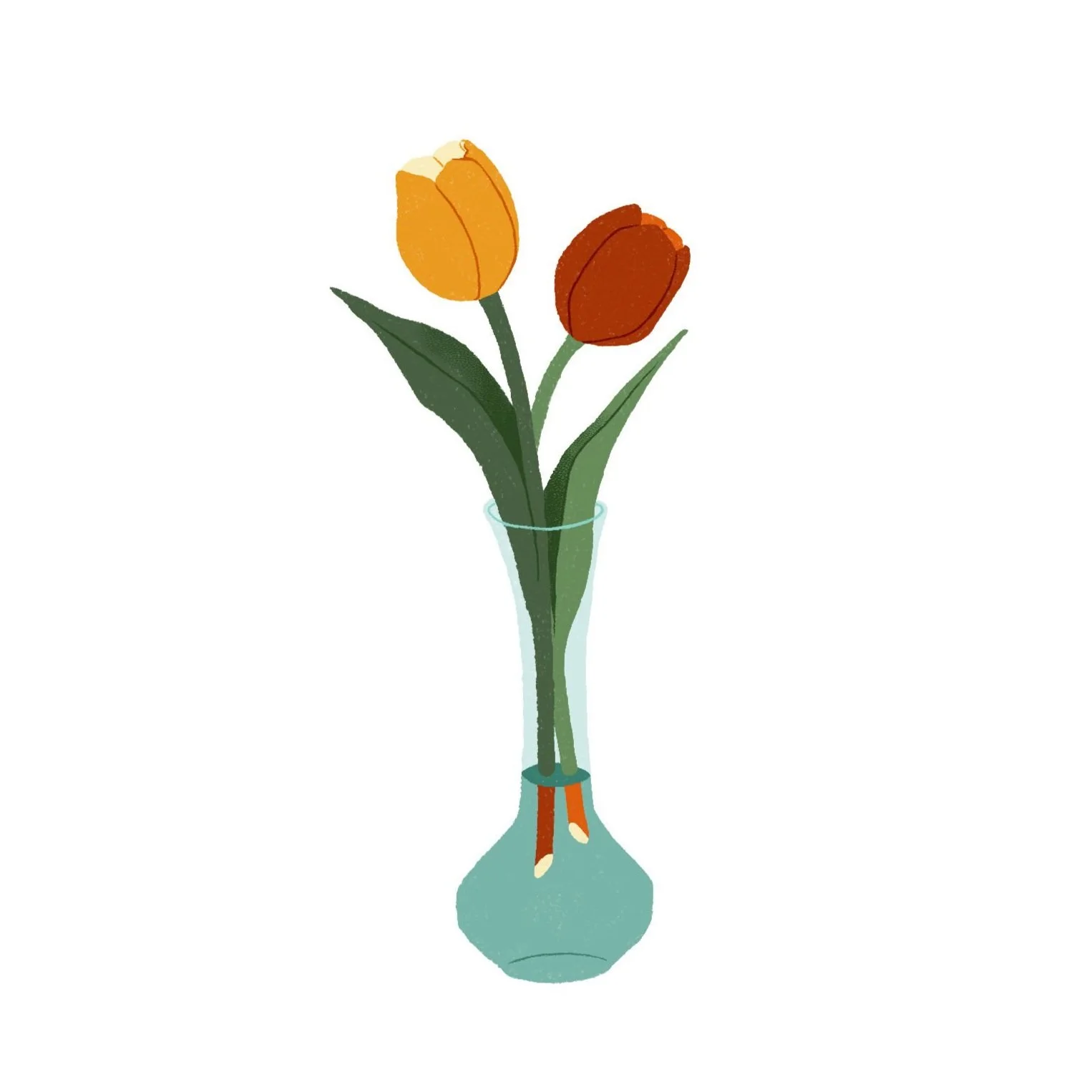 tulips.jpg