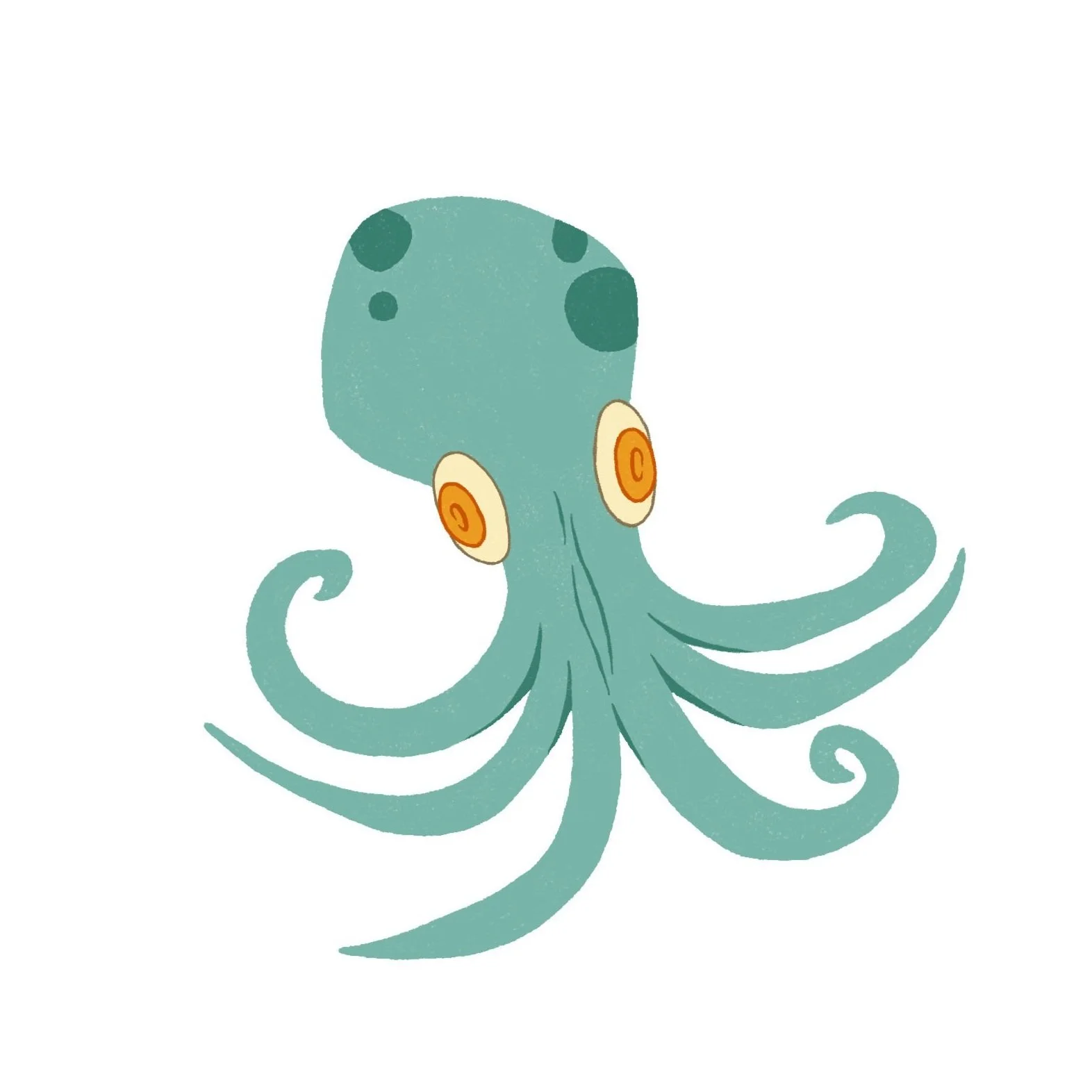 octopus.jpg