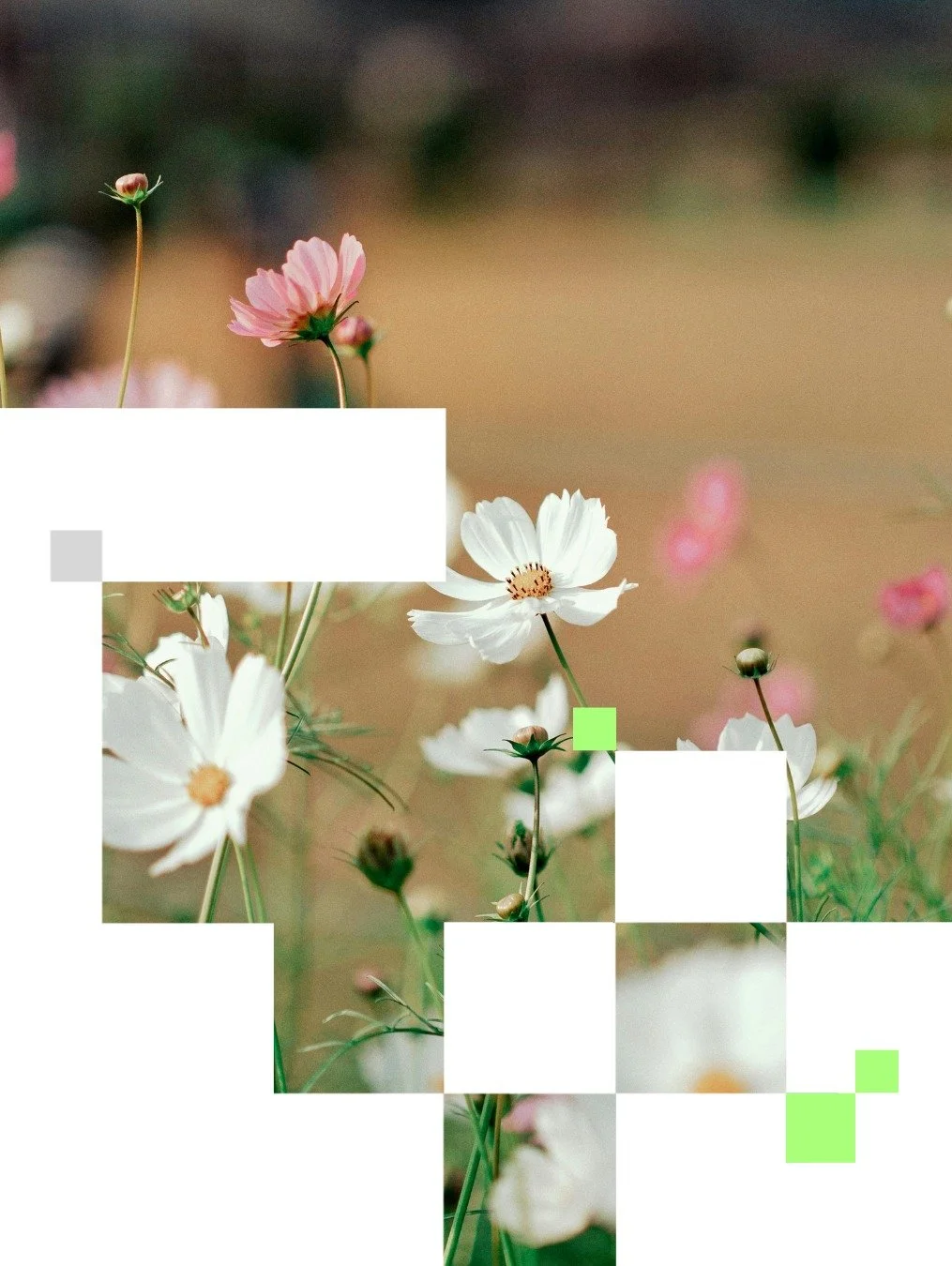 April is here. The light is back. The windows are getting opened for the first time in a while.
 
It's a good month to reset a few small things so over the next few weeks we'll be sharing simple ideas for living a bit better at home. Nothing preachy.