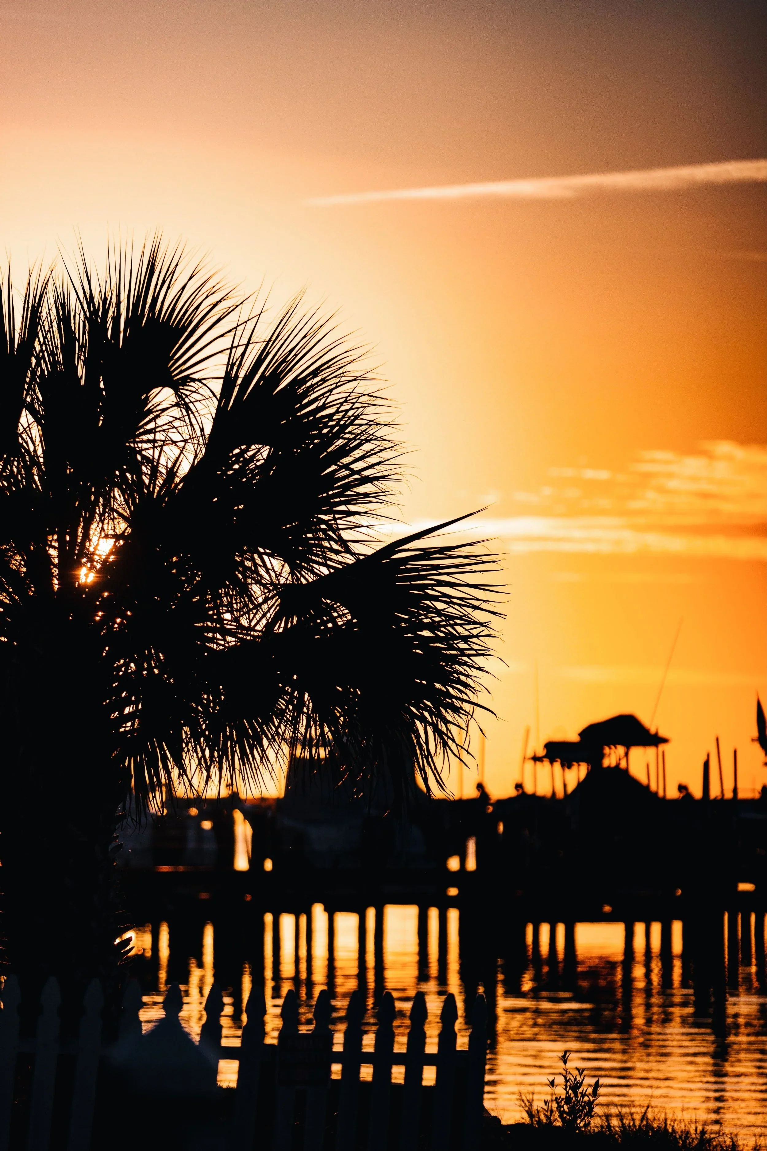 Why Pass-a-Grille Property Owners Are Choosing to Build New