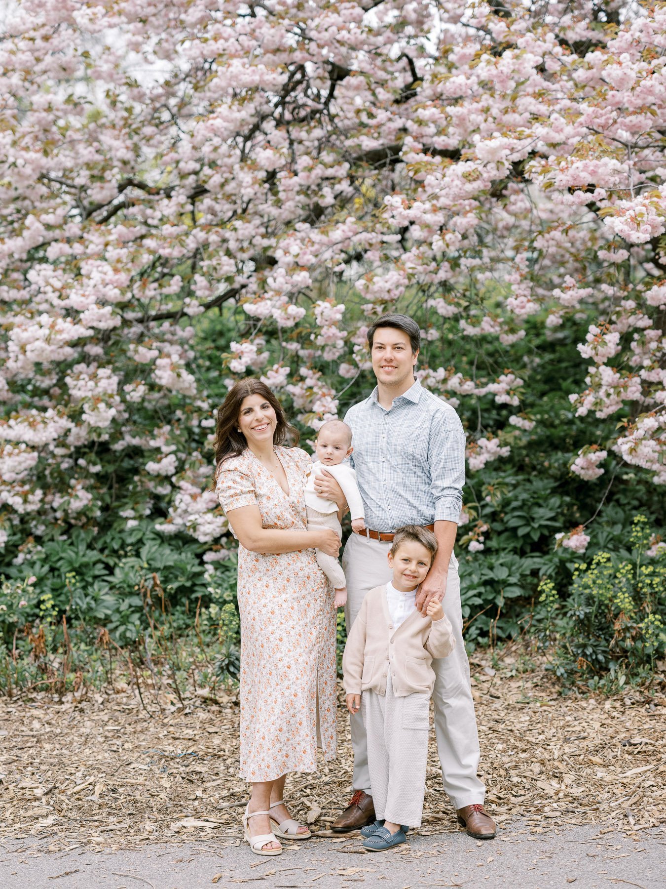 NYC Blossom family portraits by Michelle Lange Photography-1.jpg