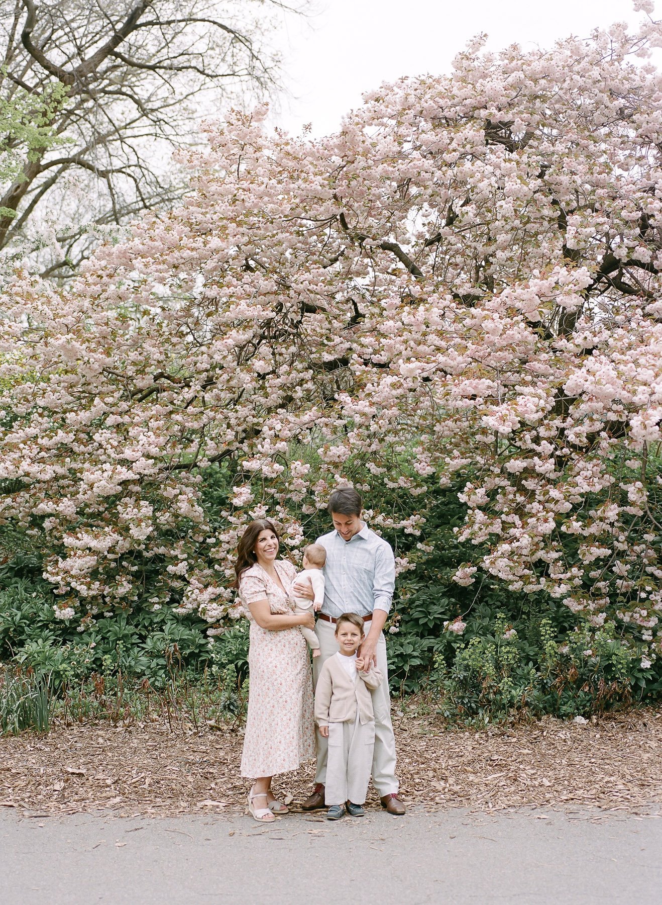 NYC Blossom family portraits by Michelle Lange Photography-2.jpg