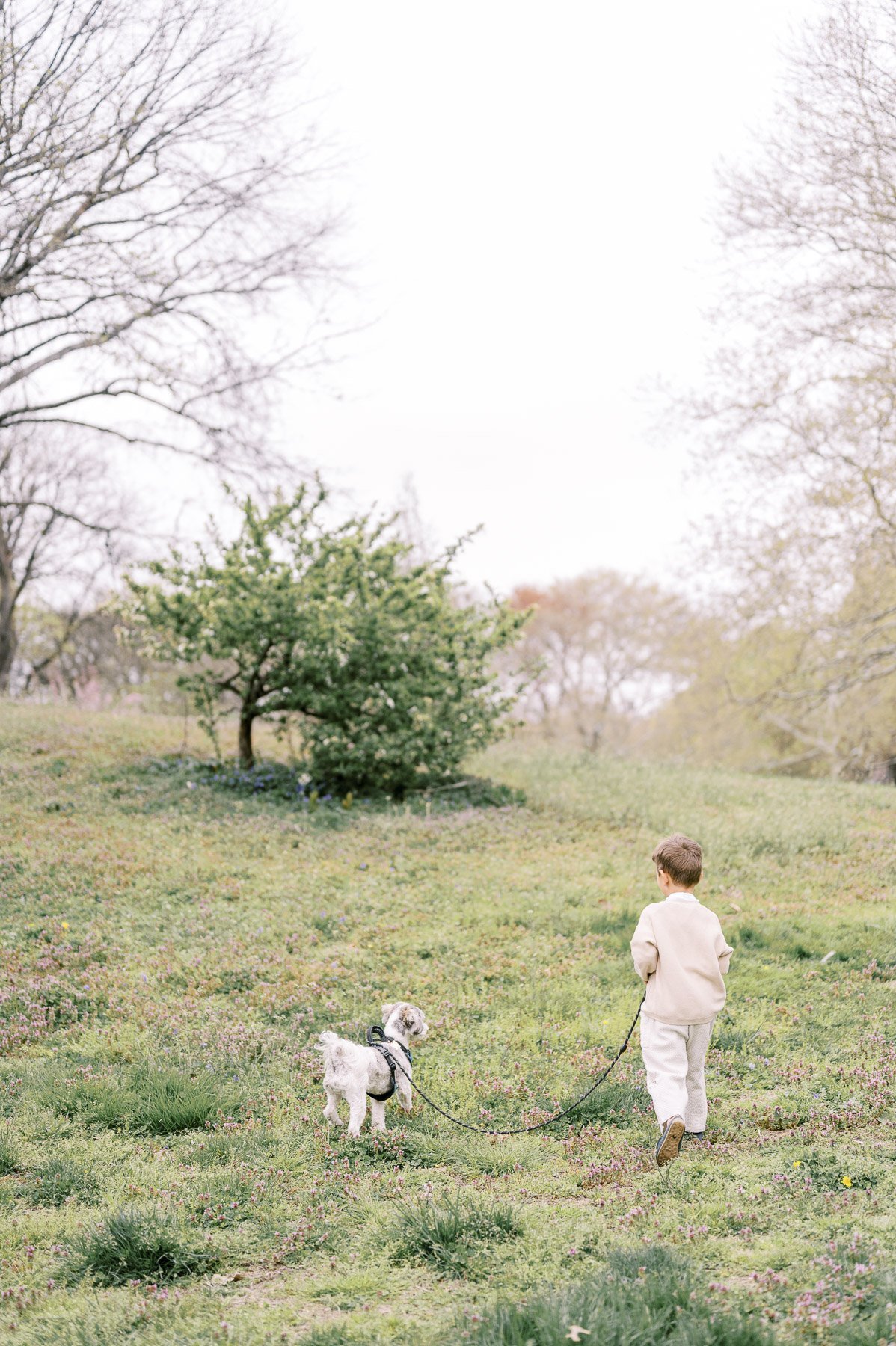 NYC Blossom family portraits by Michelle Lange Photography-26.jpg
