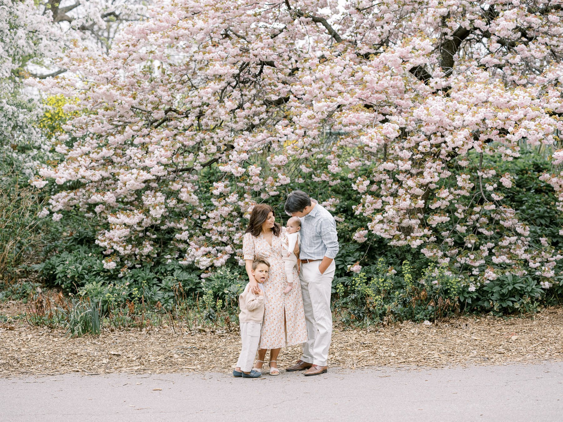 NYC Blossom family portraits by Michelle Lange Photography-8.jpg