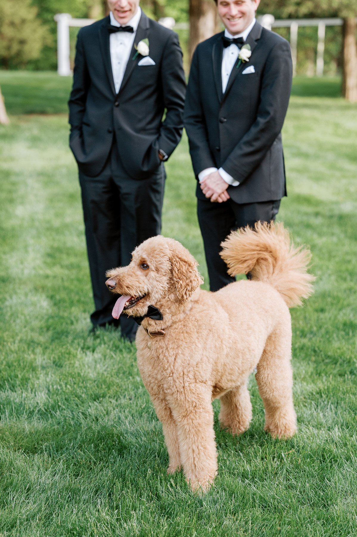 Wadsworth Mansion Wedding by Michelle Lange Photography-42.jpg