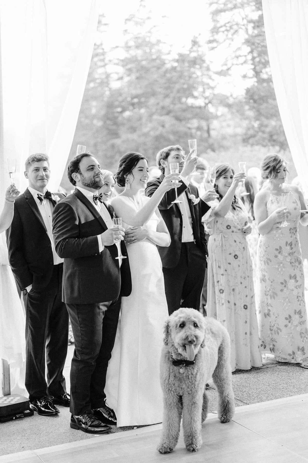 Wadsworth Mansion Wedding by Michelle Lange Photography-73.jpg