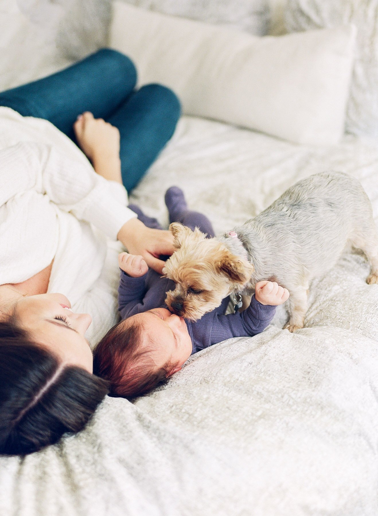 dog and baby newborn photography