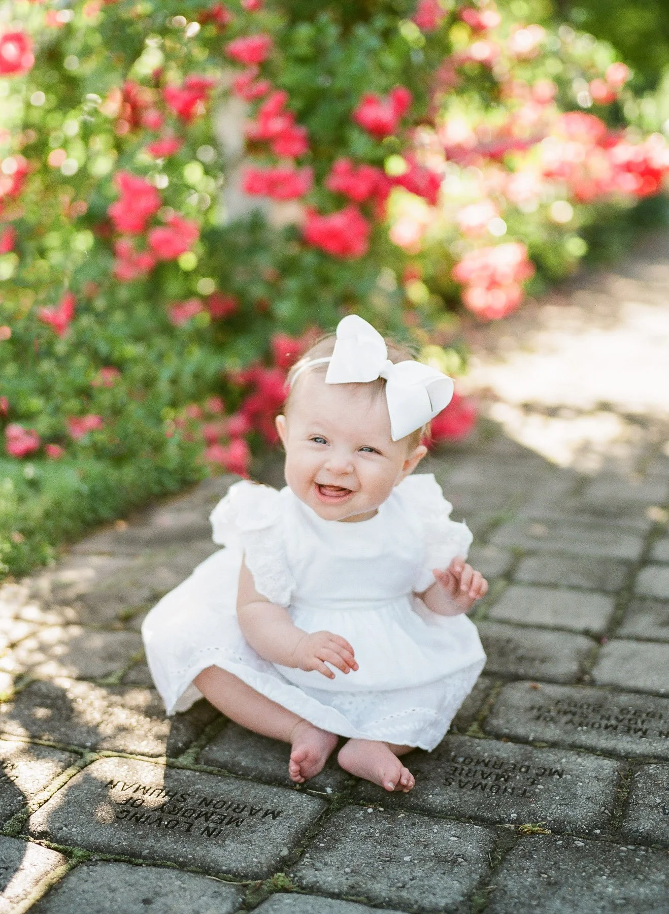 Dodge Family by Michelle Lange Photography-14.jpg