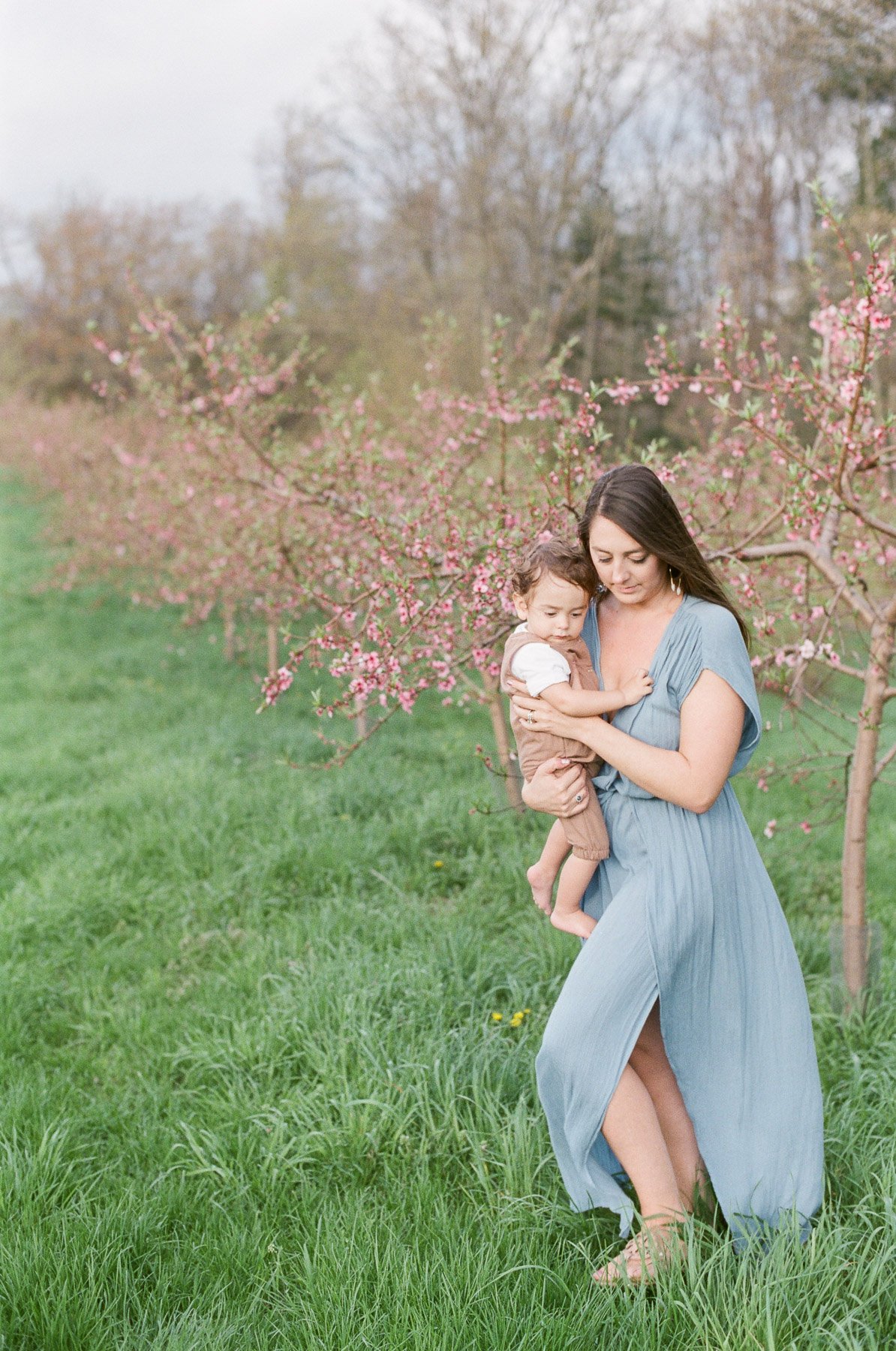 Peach Blossom Family Photos