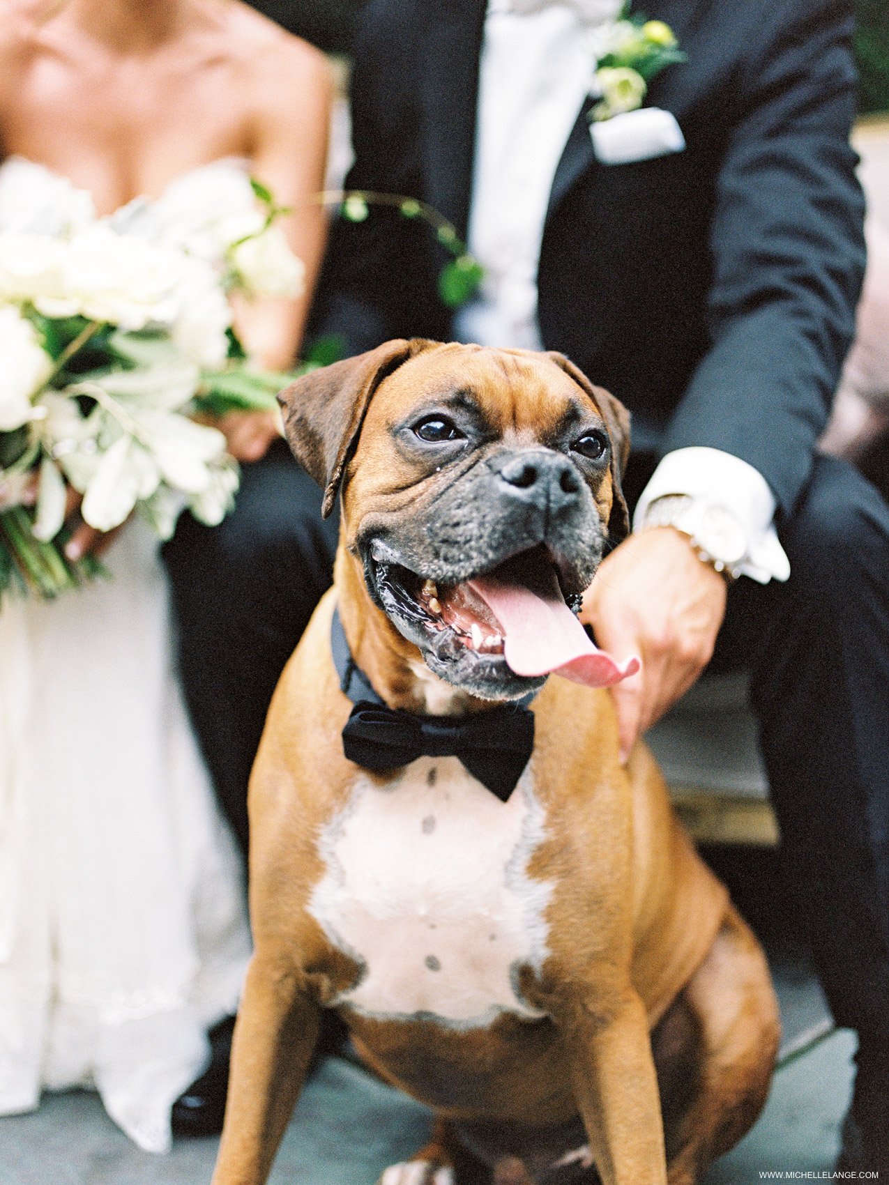 NY Wedding Photographer with Dog at Wedding