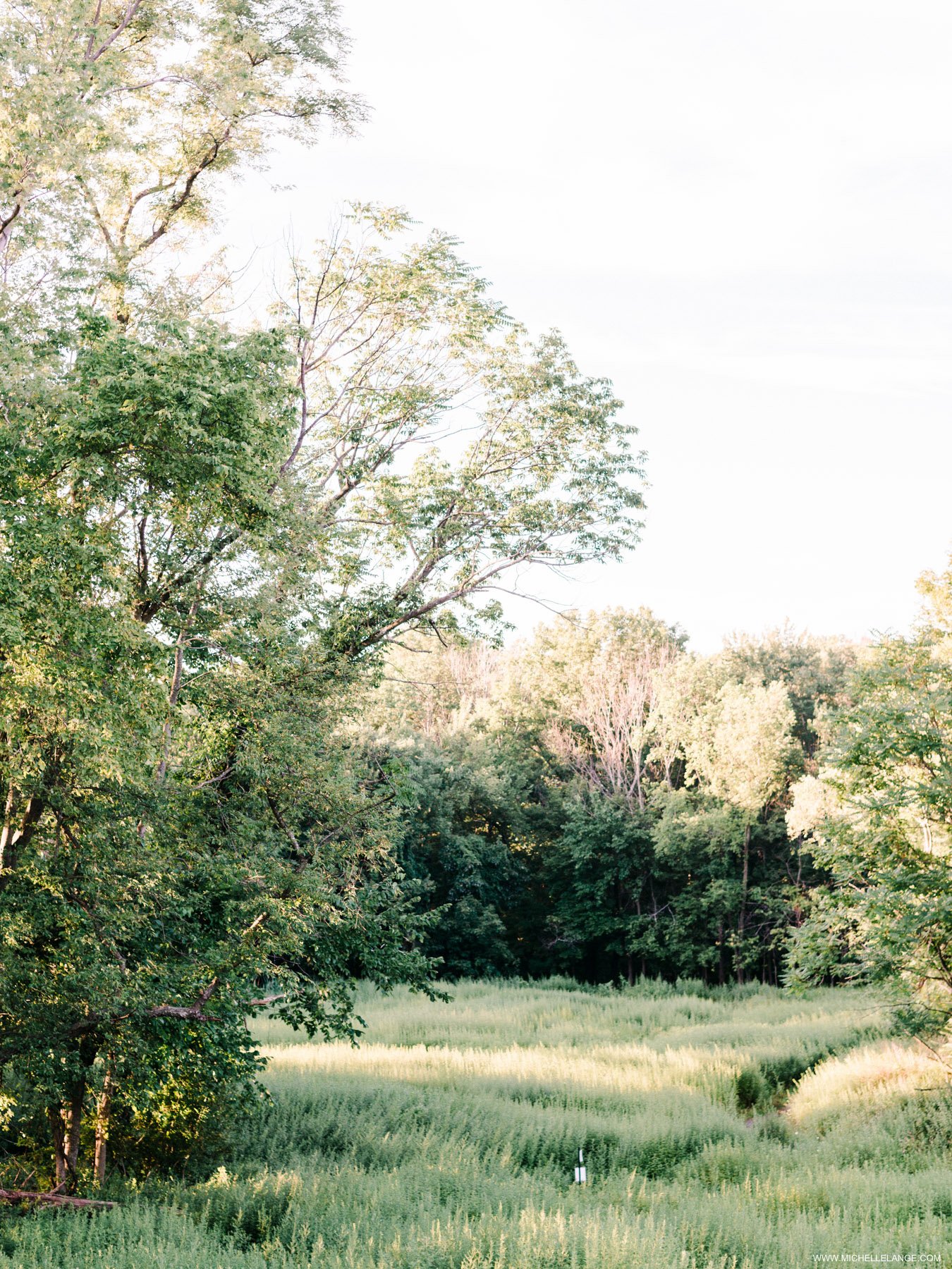 NJ Film Wedding and Engagement Photographer 