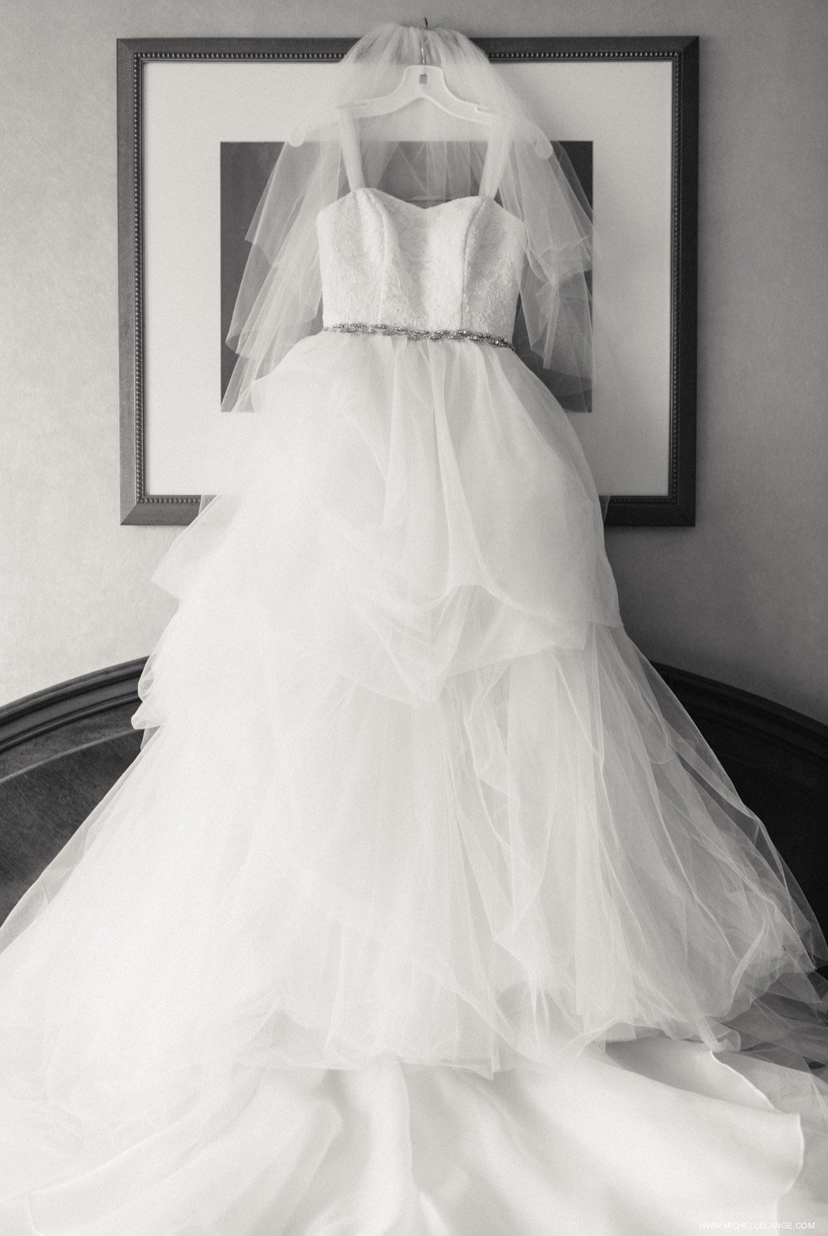 Vera Wang Davids Bridal Wedding Gown