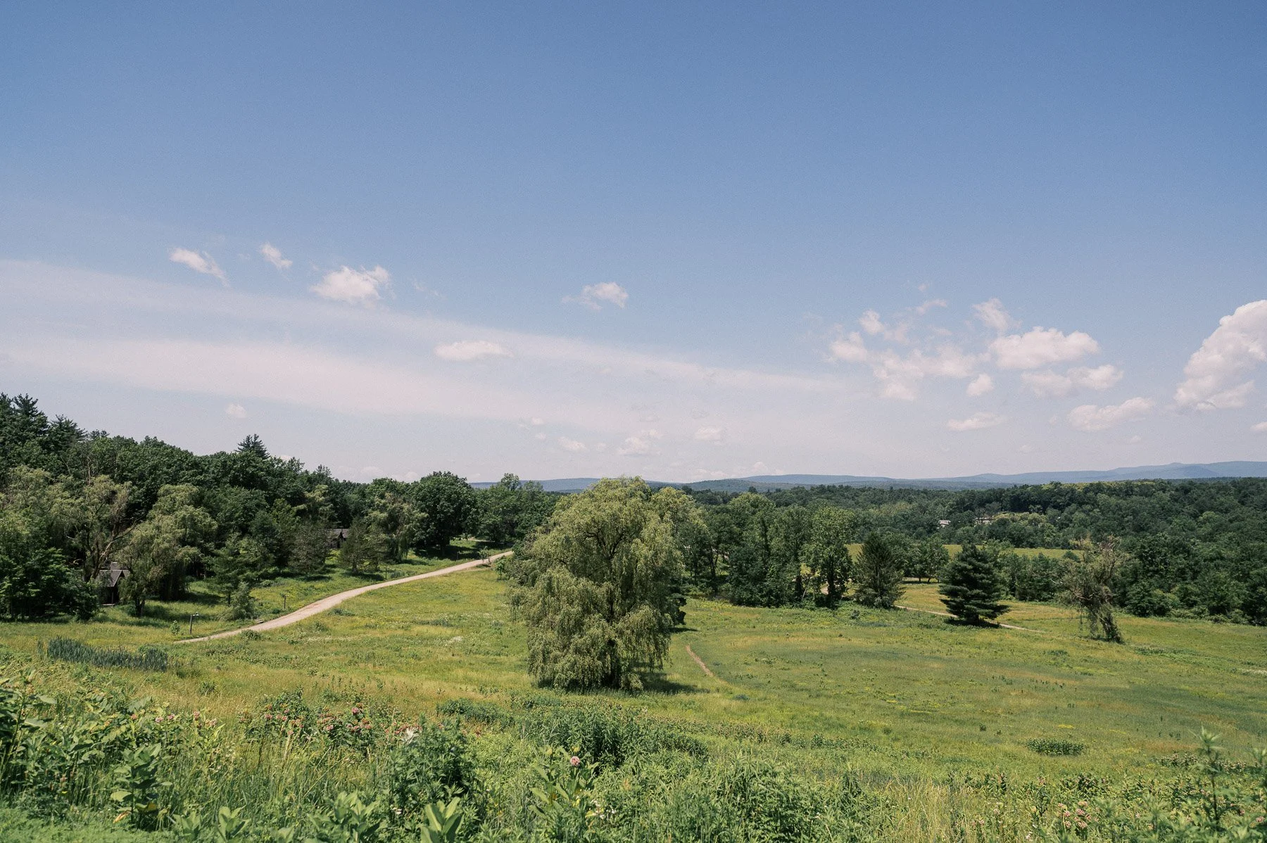 Inness Wedding in Accord, NY with DM Events by Michelle Lange Photography-1.jpg