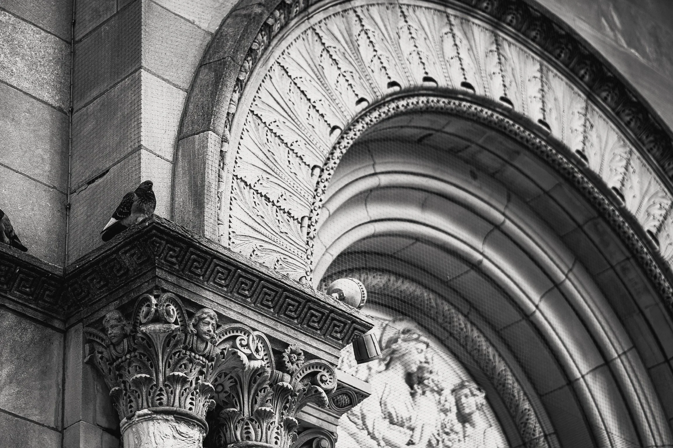 TGOP2368.JPG