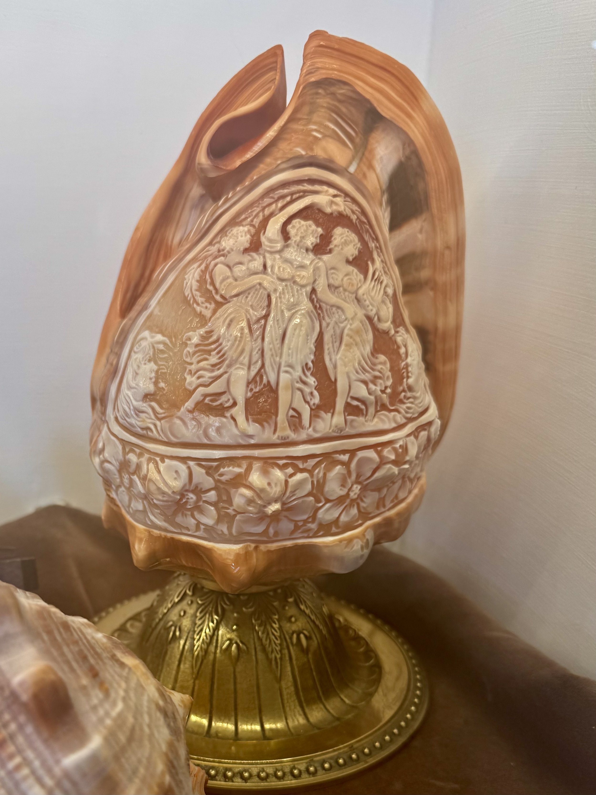 Il Piccolo Museo del Cammeo Engraved Decorative Shells