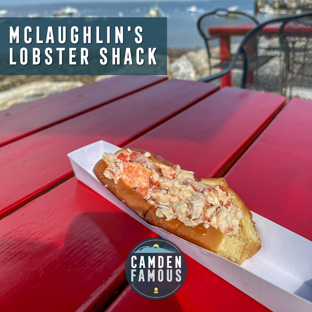 3 Can’tMiss Lobster Rolls in Midcoast Maine — Camden Famous