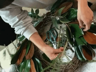 Winter Wreath Workshop - Sunday December 7