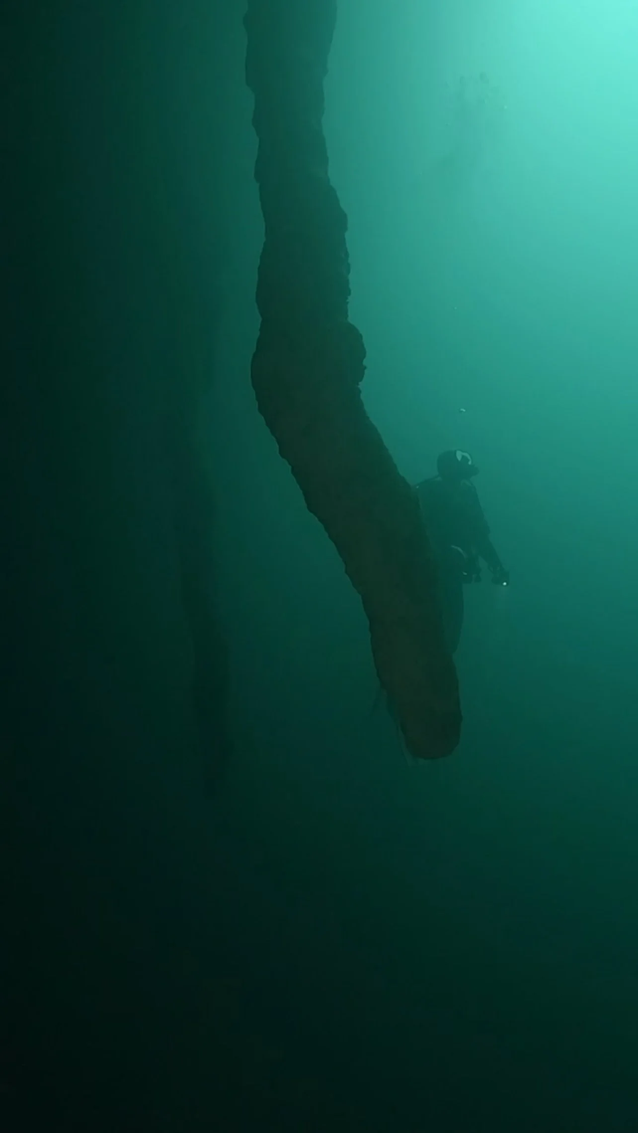 Yaakun stalactite.jpg