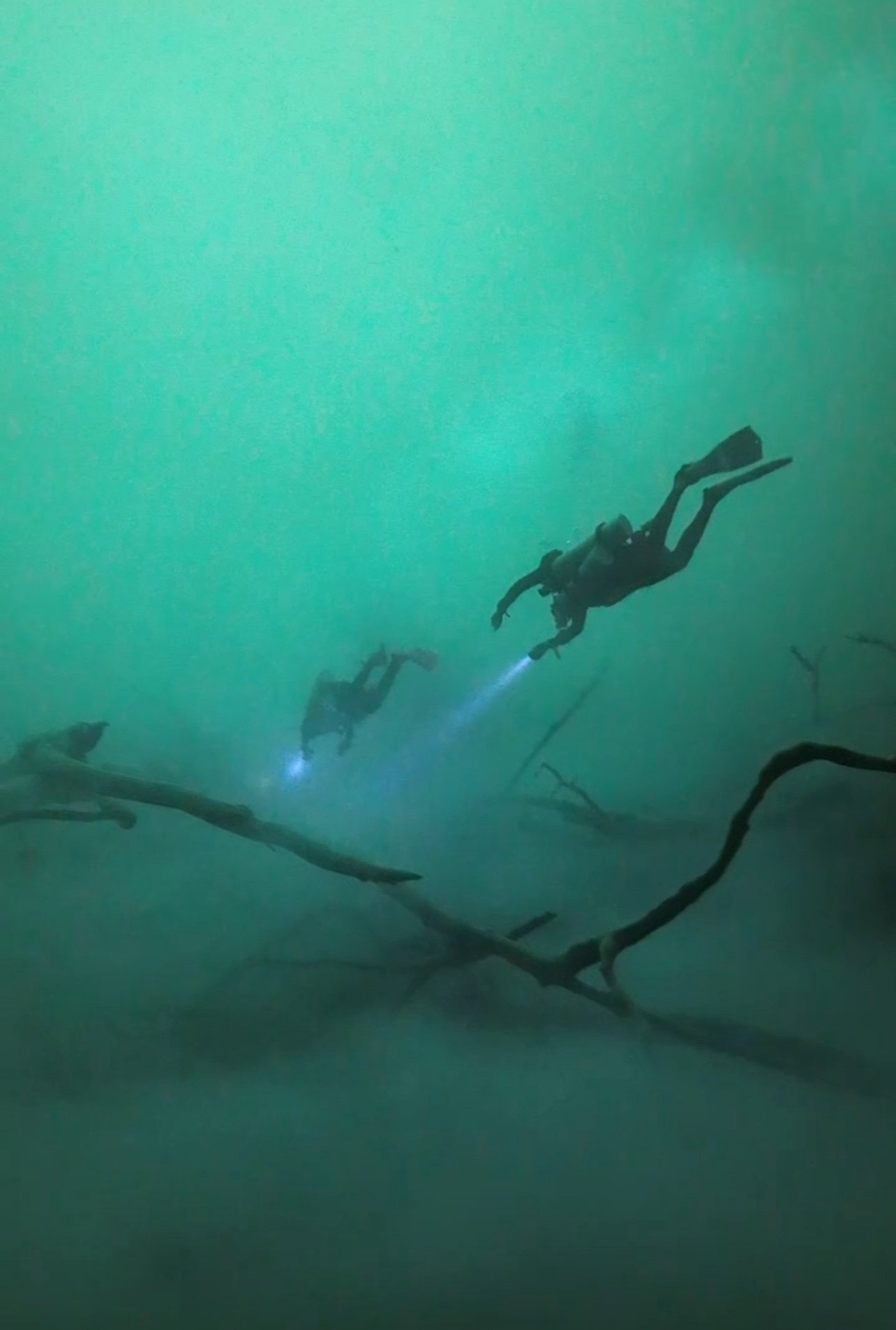 Two scuba divers underwater with flashlights, swimming near submerged tree branches in a greenish environment.