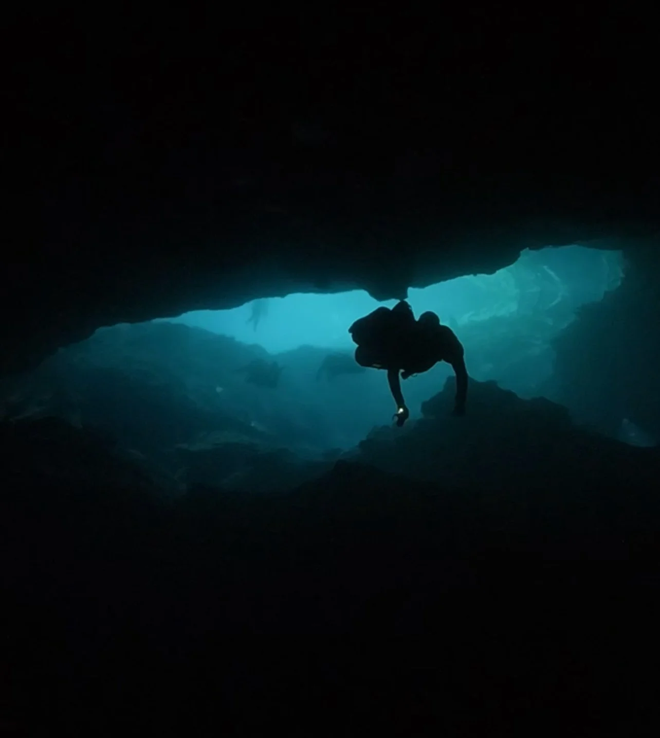 eden tunnel.jpg