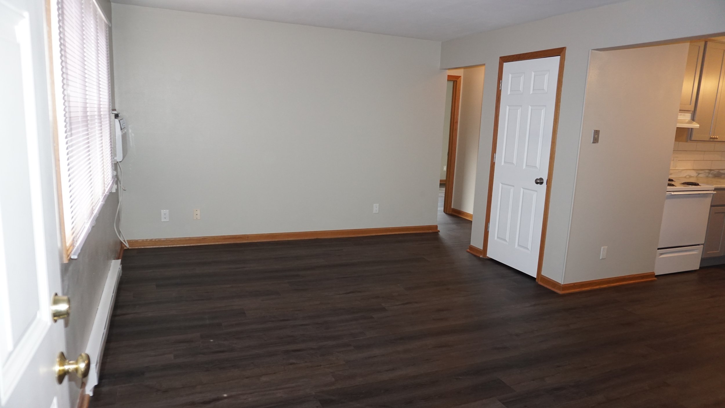 Empty living room and kitchen area with hardwood floors, white walls, and natural light coming through windows, showing shadows on the wall.